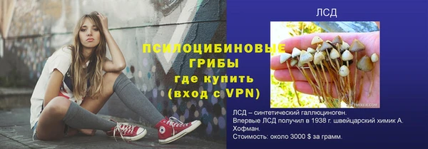 Альфа ПВП Тосно