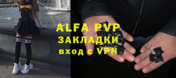 спиды Калининец