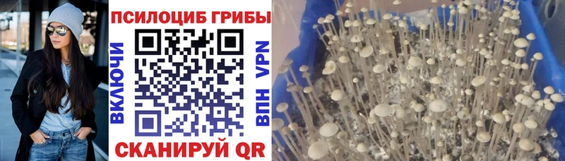 Псилоцибиновые грибы прущие грибы  Асбест 