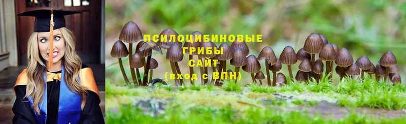 гидра ССЫЛКА  Асбест  Галлюциногенные грибы Psilocybine cubensis 