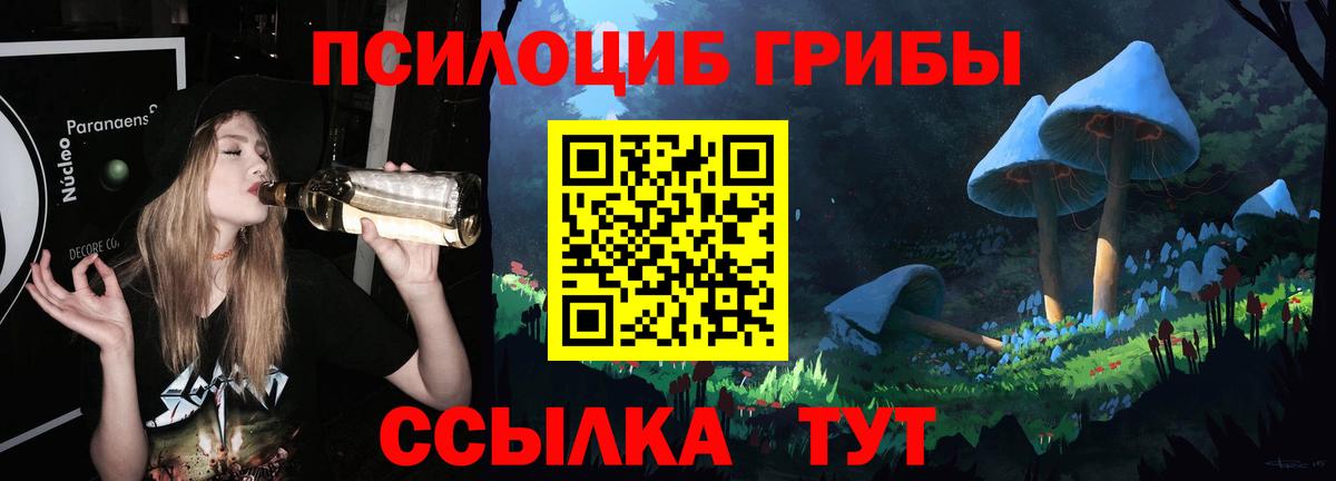 Псилоцибиновые грибы Psilocybine cubensis  Псилоцибиновые грибы мицелий  Вход с VPN  Асбест 