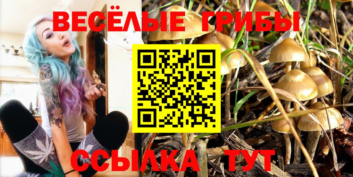 Галлюциногенные грибы Cubensis Асбест